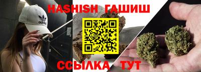 индика Заволжье